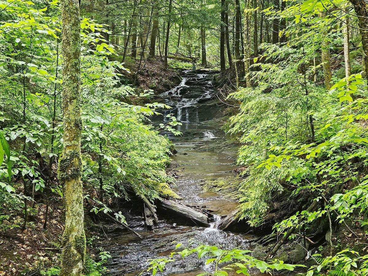 near 2075 Codding Hollow Road Johnson, VT 05656 Property 1
