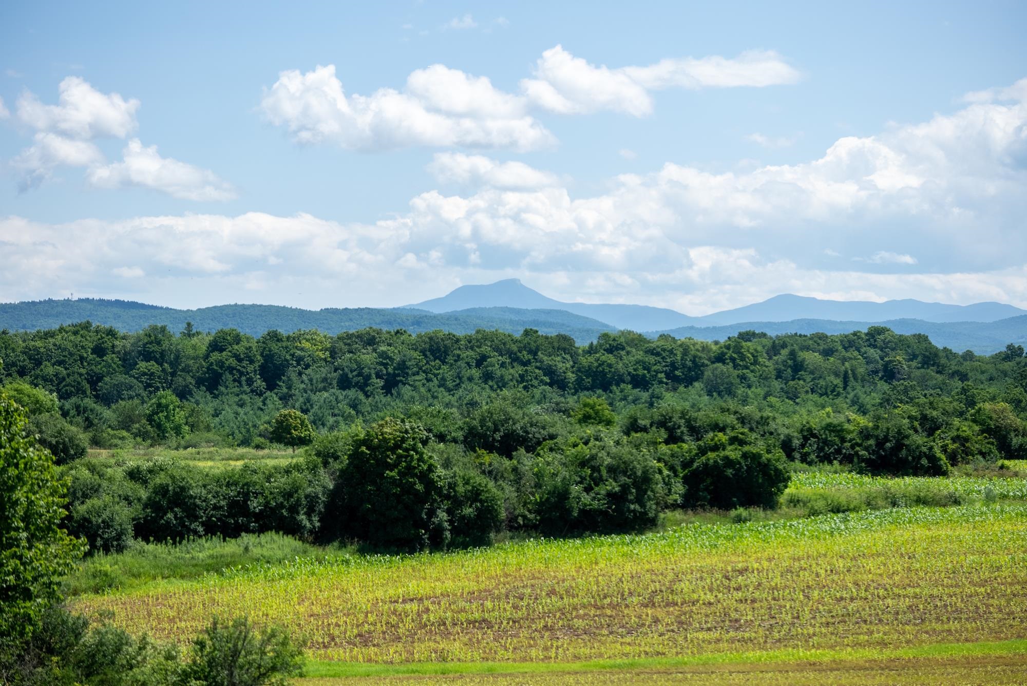 near 107 Eagles Rest Road Shelburne, VT 05482 Property 3
